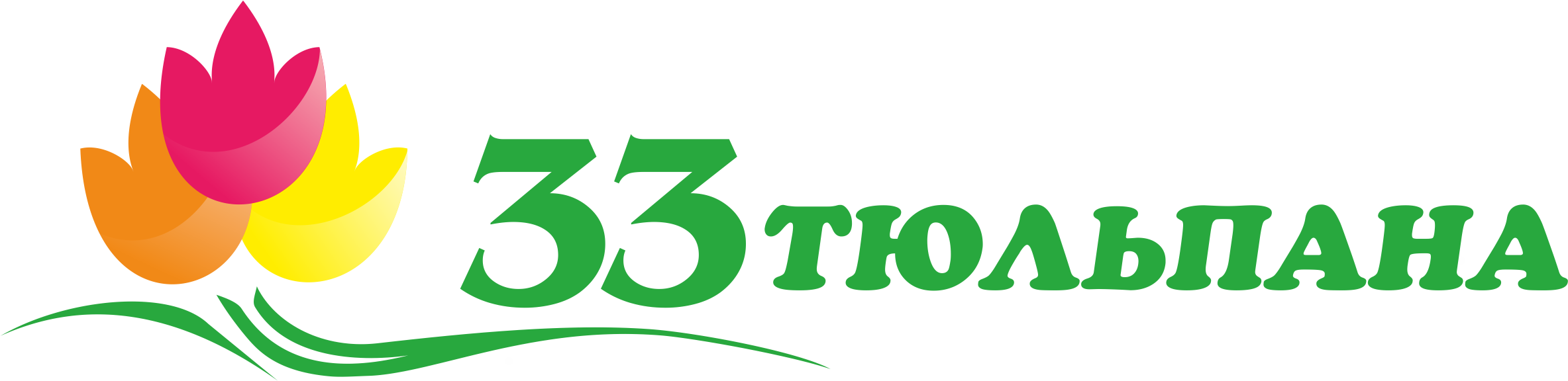 Лого: 33 тюльпана